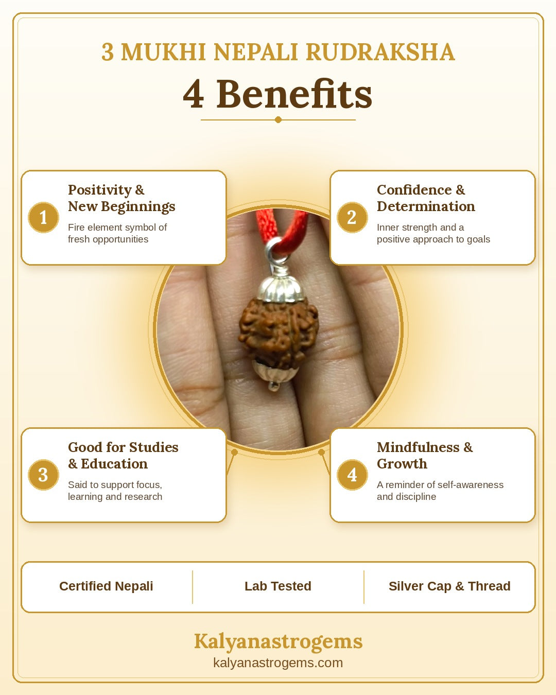 3 Mukhi Rudraksha - Nepali Certified original