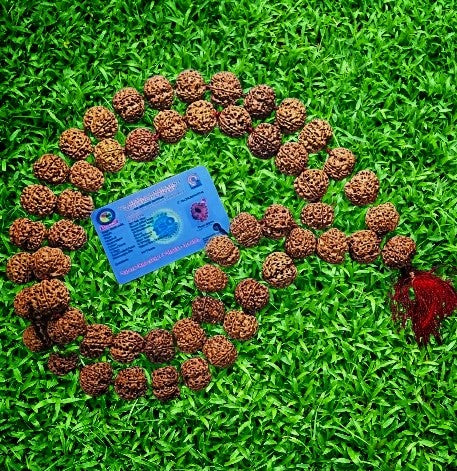 Rudraksha Mala NEPAL PREMIUM(Amla Big beads) - Kalyanastrogems