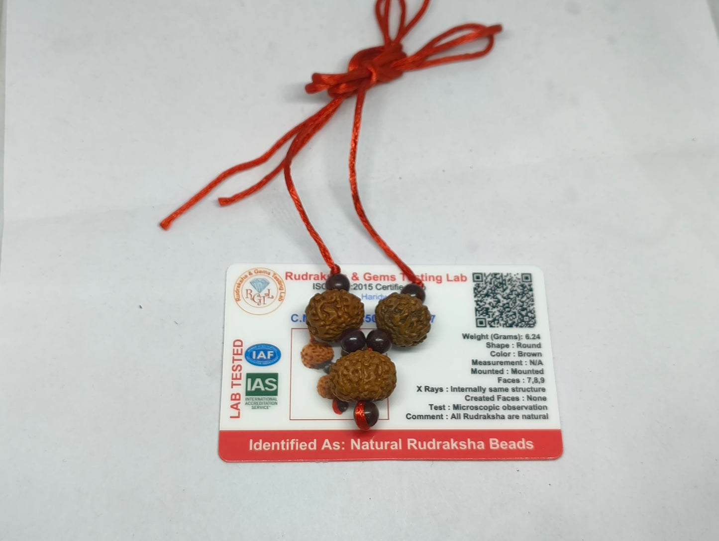 Kaalsarp Dosh Upay (Nivaran) Rudraksha Kavach