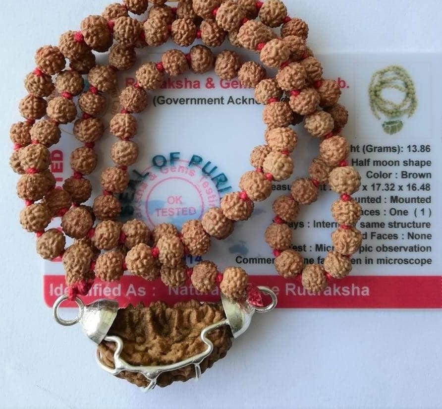 Mukhi Certified Rudraksha Mala – Kalyanastrogems