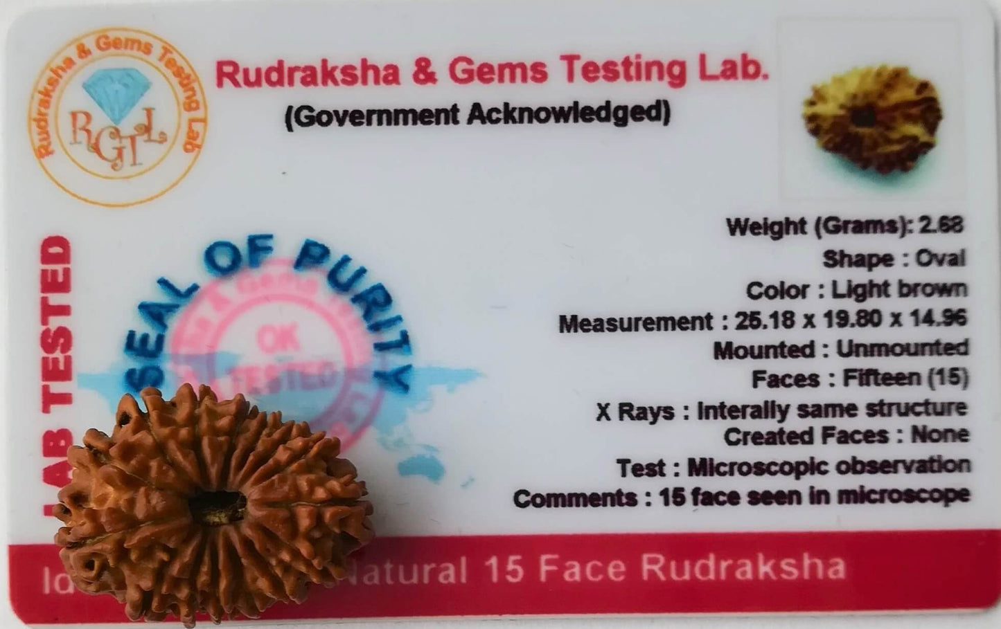 15 Mukhi Rudraksh nepal