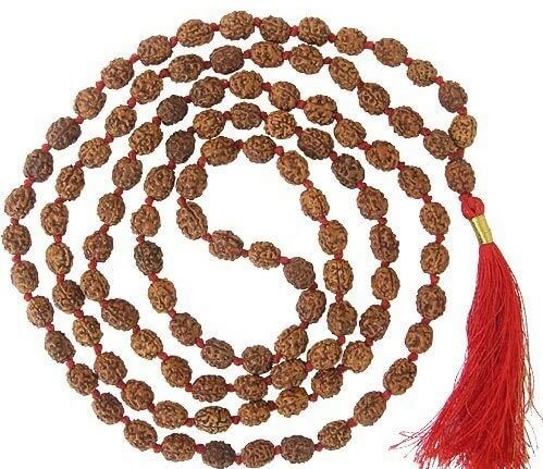 2 mukhi rudraksha mala