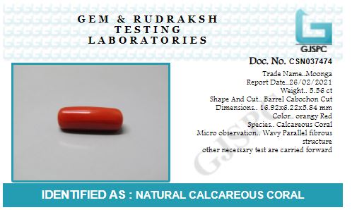 Natural Red Coral Stone For Astrological Purpose at Rs 800/carat