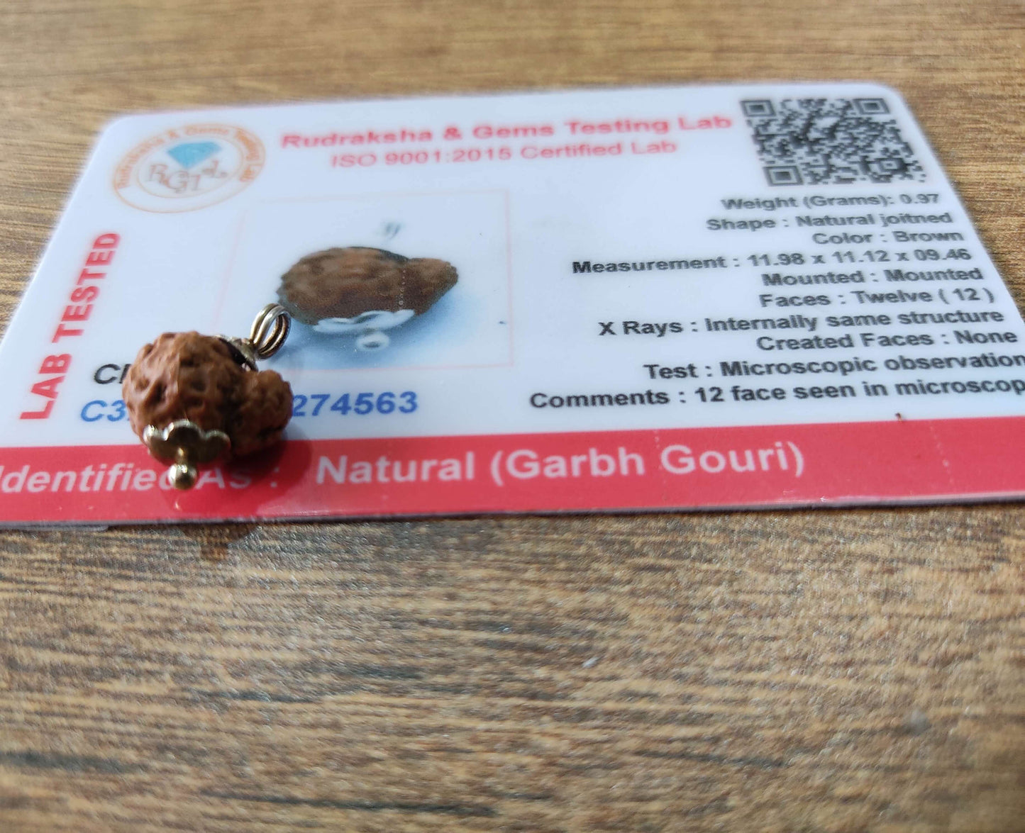 Garbh Gauri Certified Rudraksh