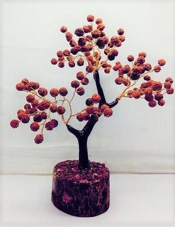 rudraksha tree decorative