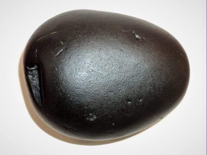 Shaligram