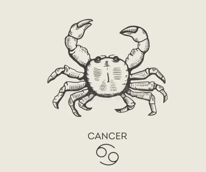 Which Gemstones Are Best for Cancer (Karka Rashi)?
