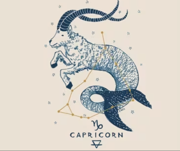 Which gemstones are best for Capricorn (Makar Rashi)?