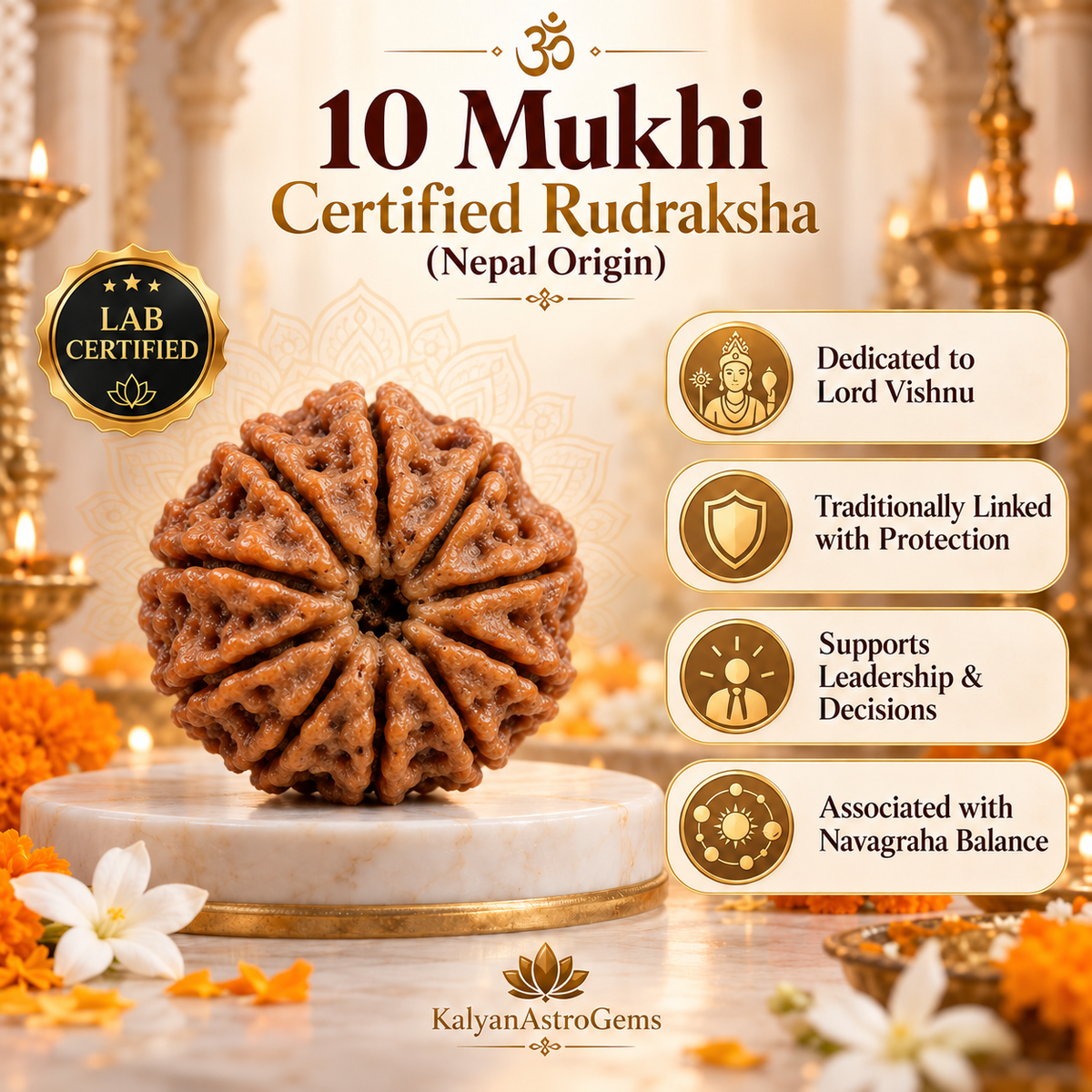 10 Mukhi Rudraksha (Certified Nepal) original bead