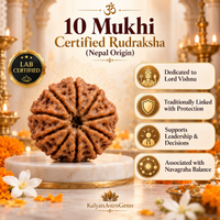 10 Mukhi Rudraksha (Certified Nepal) original bead