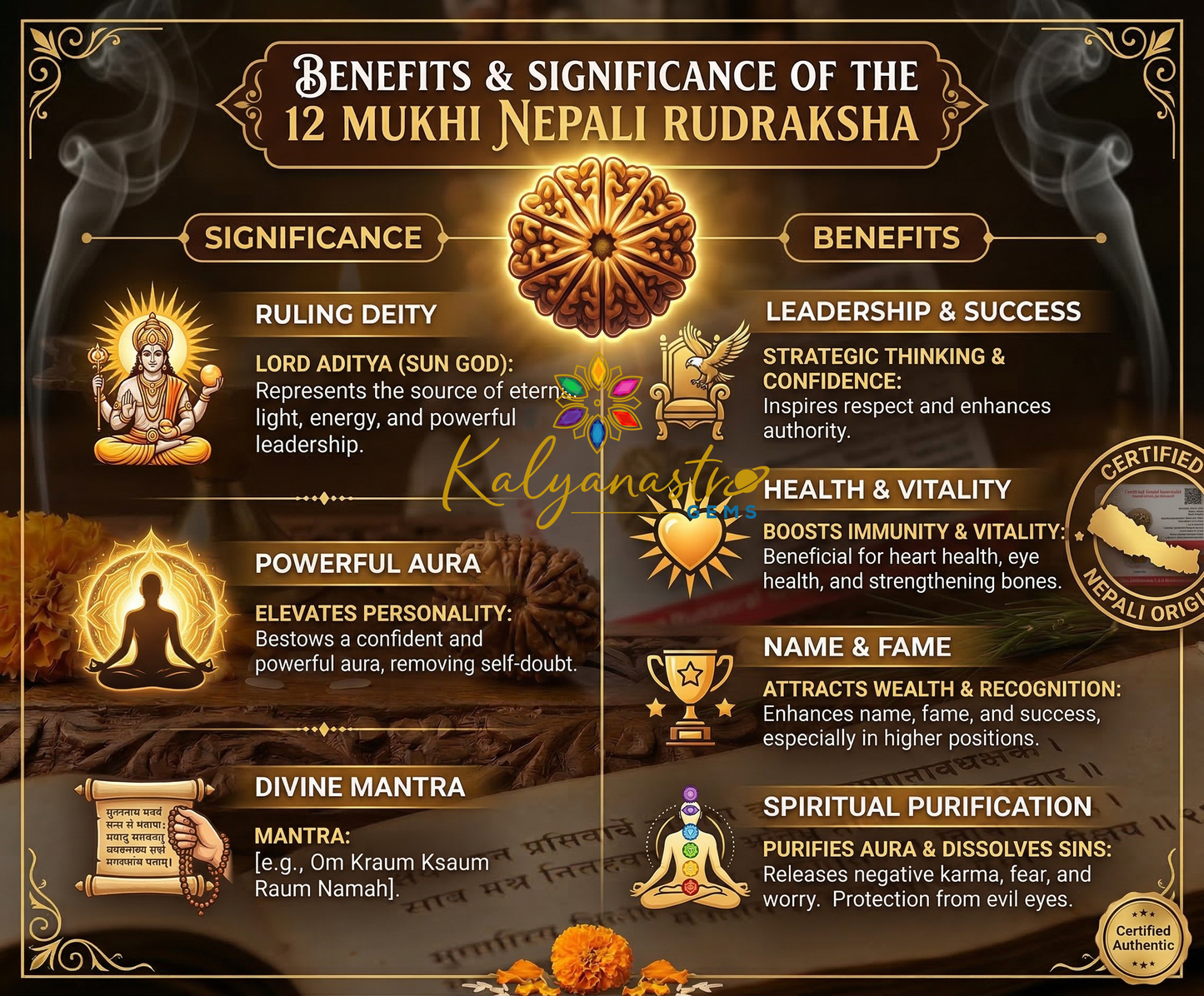 12 Mukhi Rudraksha Certified (Nepali origin)
