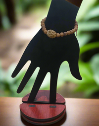 2 Mukhi Certified Rudraksha bracelet - Kalyanastrogems