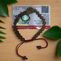 2 Mukhi Certified Rudraksha bracelet - Kalyanastrogems