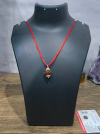 3 Mukhi Rudraksha - Nepali Certified - Kalyanastrogems