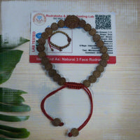 3 Mukhi Certified Rudraksha bracelet - Kalyanastrogems