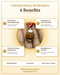 3 Mukhi Rudraksha - Nepali Certified original