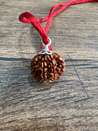 8 Mukhi Certified Rudraksha (Nepali Origin)