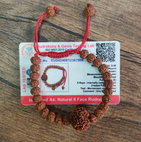 6 Mukhi Rudraksha bracelet - Kalyanastrogems