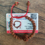 6 Mukhi Rudraksha bracelet