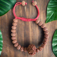 6 Mukhi Rudraksha bracelet - Kalyanastrogems