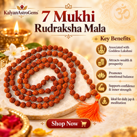7 Mukhi Rudraksha Mala Certified