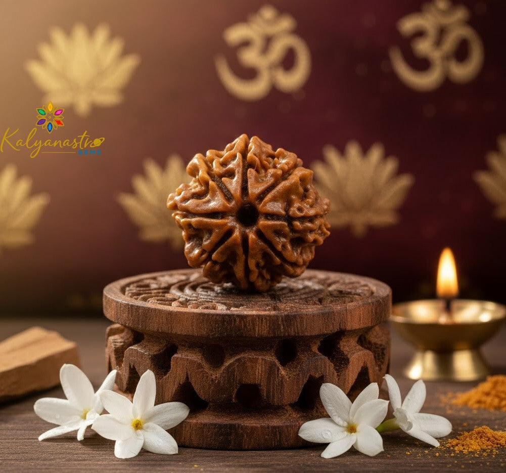 8 Mukhi Certified Rudraksha (Nepali Origin)