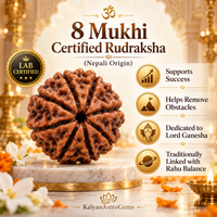 8 Mukhi Certified Rudraksha (Nepali Origin) original