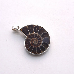 Ammonite Pendant locket