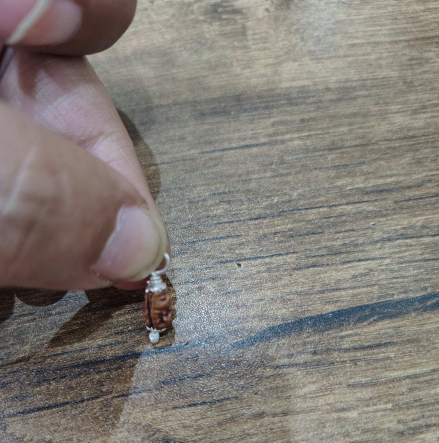 1 Mukhi Rudraksha (Indonesian Java)