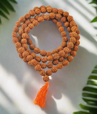 Rudraksh Mala (108 beads) - Kalyanastrogems