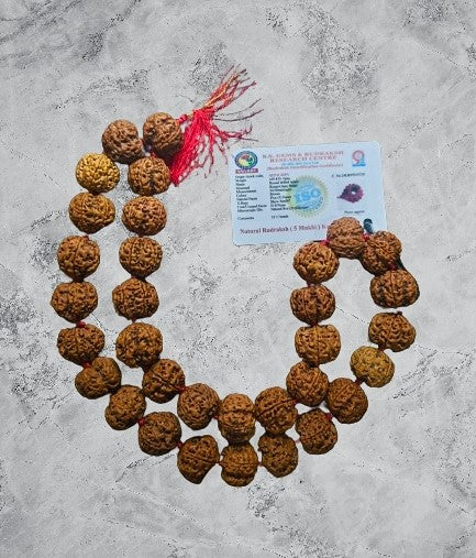 Rudraksha Mala NEPAL PREMIUM(Amla Big beads)