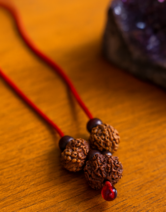 rudraksha kavach for wealth