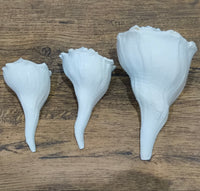 dakshinavarti shankh