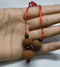 kalsarp dosh rahu ketu kavach