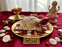 Wealth Dhanlakshmi kachua idol with gunja, kaudi and gomti chakra