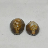 raj lakshmi kauri for money