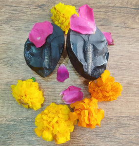 Shaligram - Shivling