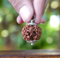 6 Mukhi Certified Rudraksh Nepal - Kalyanastrogems