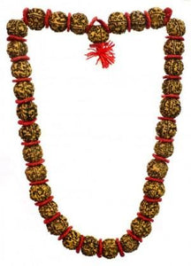 Rudraksha mala rosary nepal