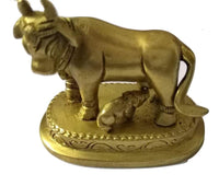 kamdhenu cow for wealth and abundance