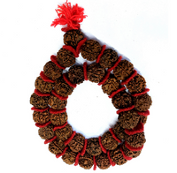 Rudraksha Mala NEPAL PREMIUM(54+1 Big beads) - Kalyanastrogems