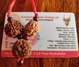 rudraksha for education children
